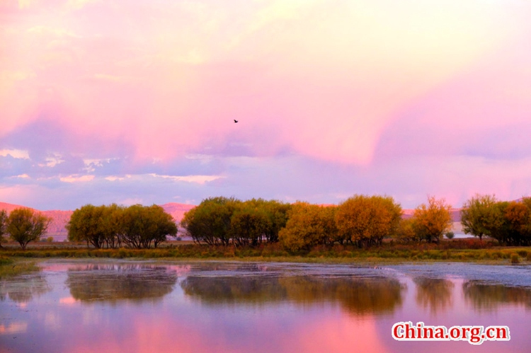 Beautiful scenery of Eerguna, Inner Mongolia