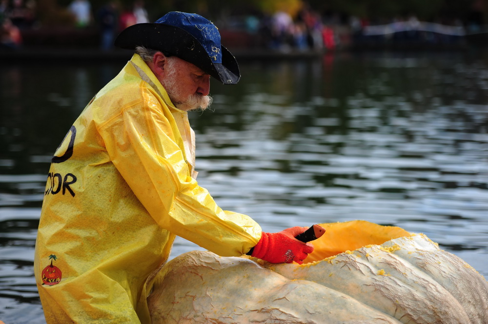 People paddle pumpkins in West Coast Giant Pumpkin Regatta 