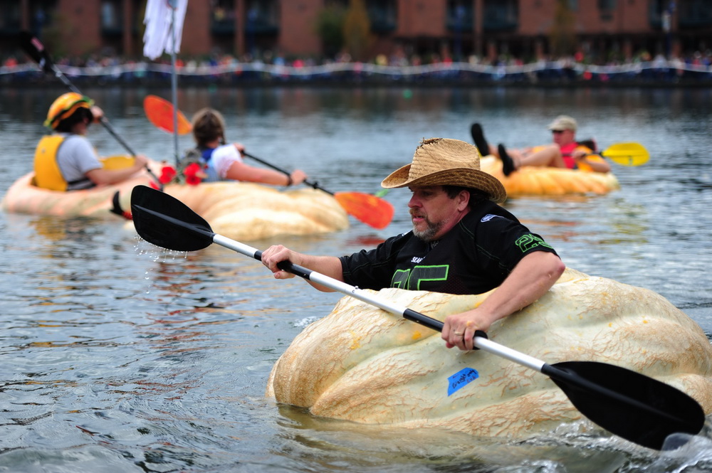 People paddle pumpkins in West Coast Giant Pumpkin Regatta 