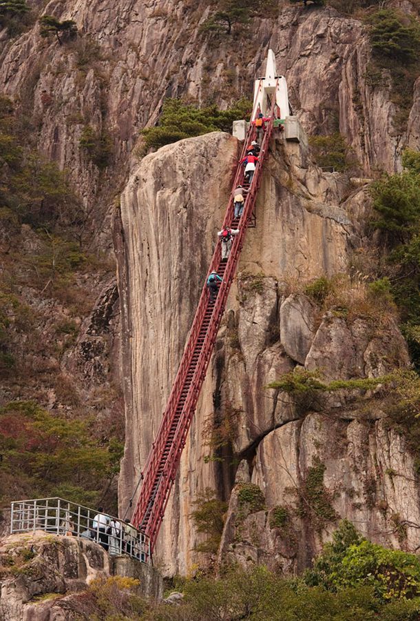 World's most heart-pounding bridges