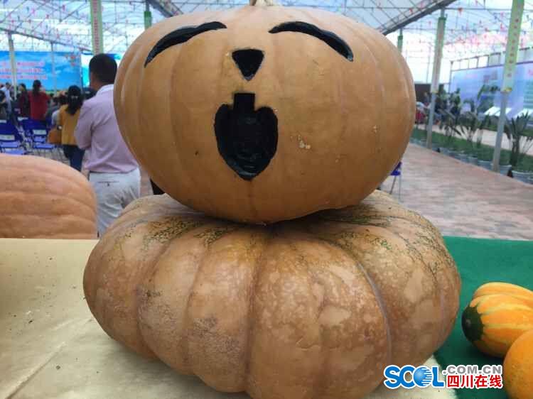 Space pumpkins shown in Sichuan