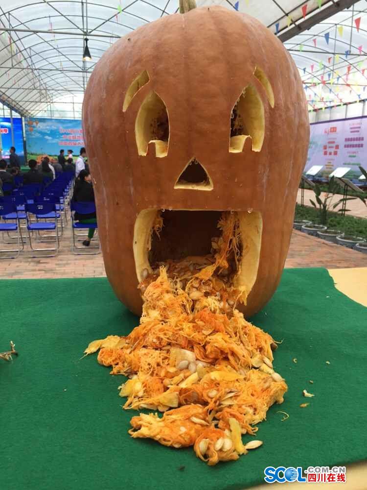 Space pumpkins shown in Sichuan