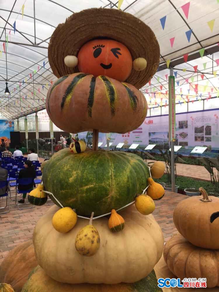 Space pumpkins shown in Sichuan