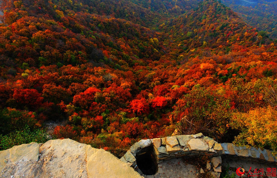 Picturesque autumn scenery in N China 