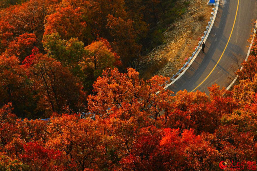 Picturesque autumn scenery in N China 