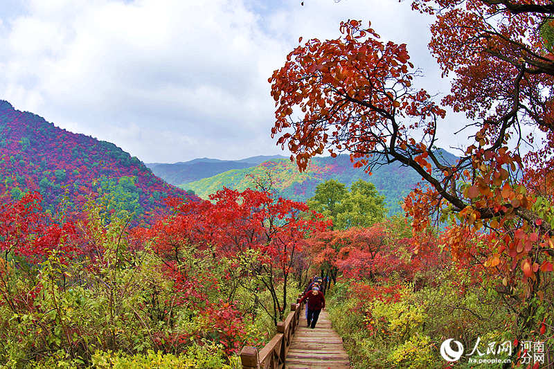 Trees burst into color in C China