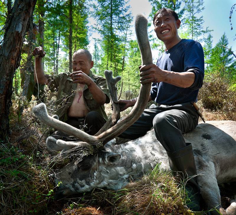 Photo story: A mysterious minority group which raises reindeers