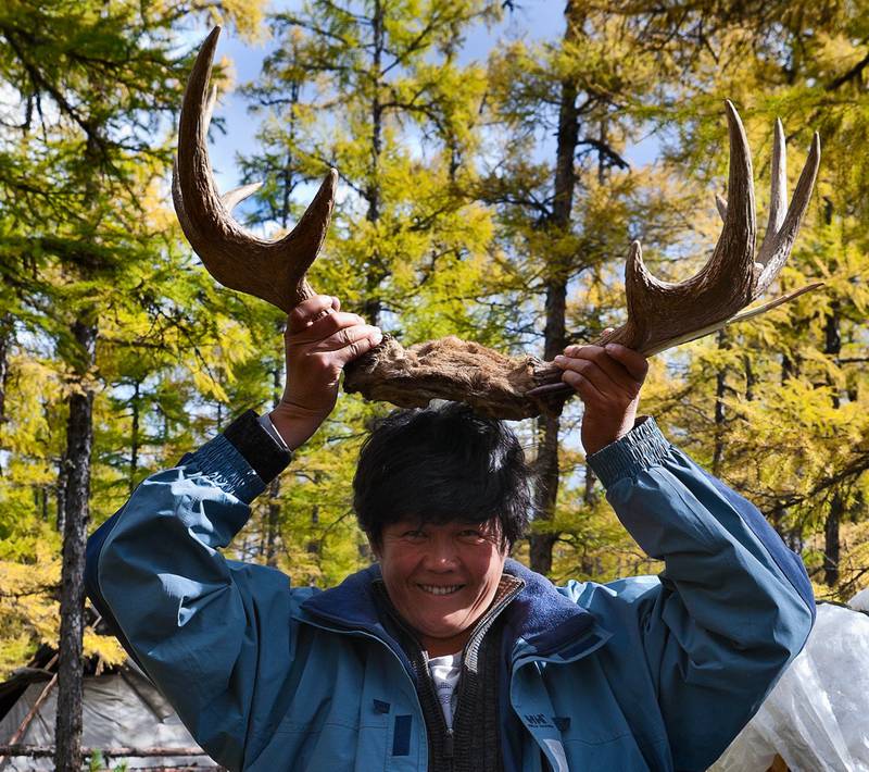 Photo story: A mysterious minority group which raises reindeers