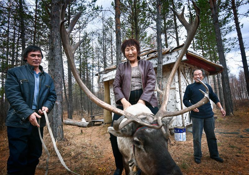 Photo story: A mysterious minority group which raises reindeers