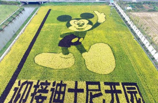 Gigantic Mickey Mouse celebrates the arrival of Shanghai Disneyland Park 