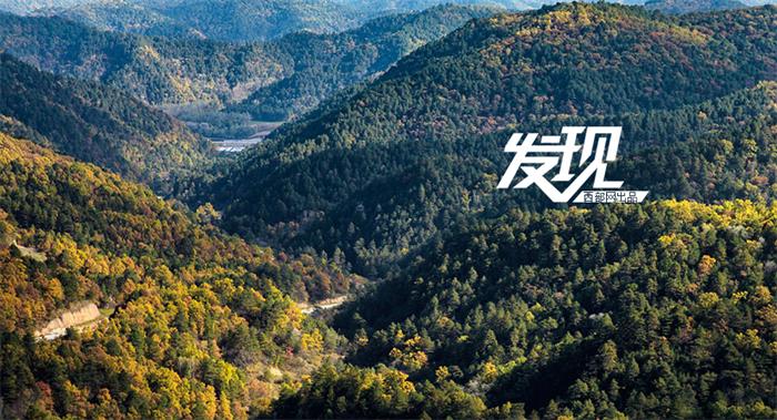 Beautiful Huangling National Forest Park