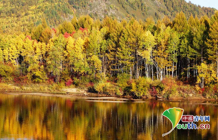 Splendid autumn scenery in China