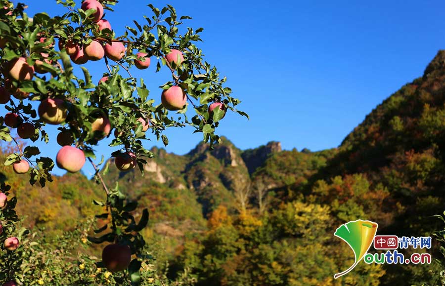 Splendid autumn scenery in China