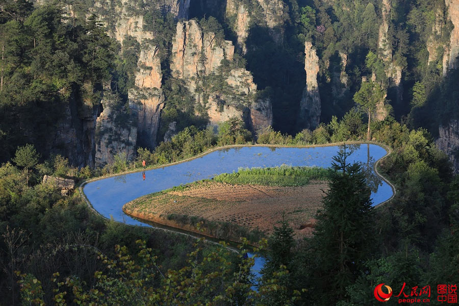 Sea of clouds in Zhangjiajie