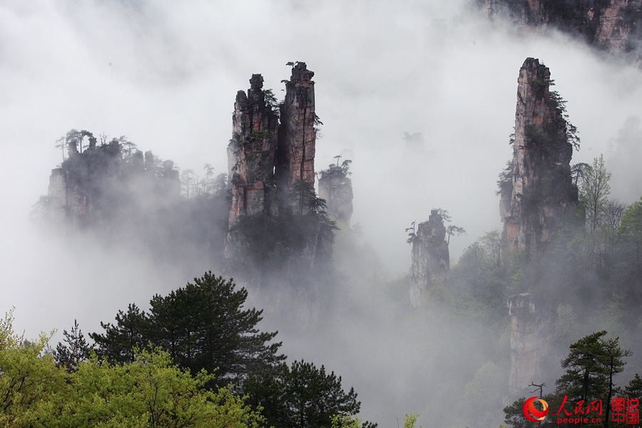 Sea of clouds in Zhangjiajie