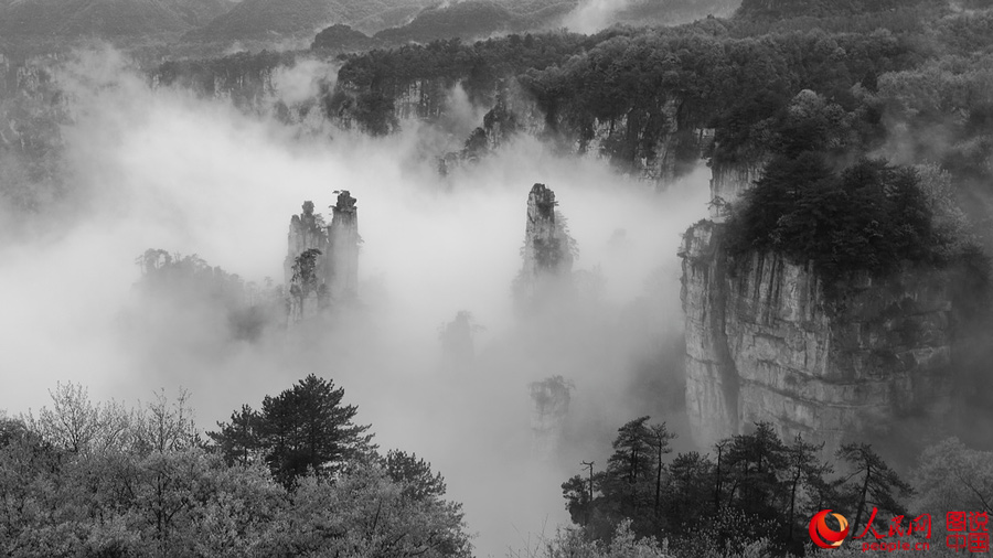 Sea of clouds in Zhangjiajie