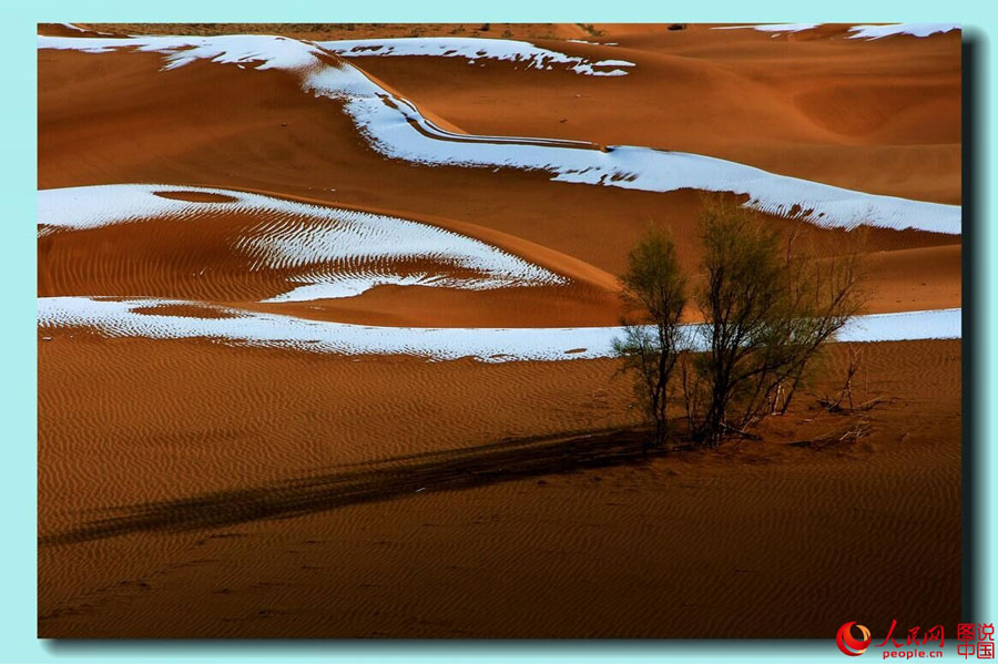 Amazing scenery of snow-covered desert 