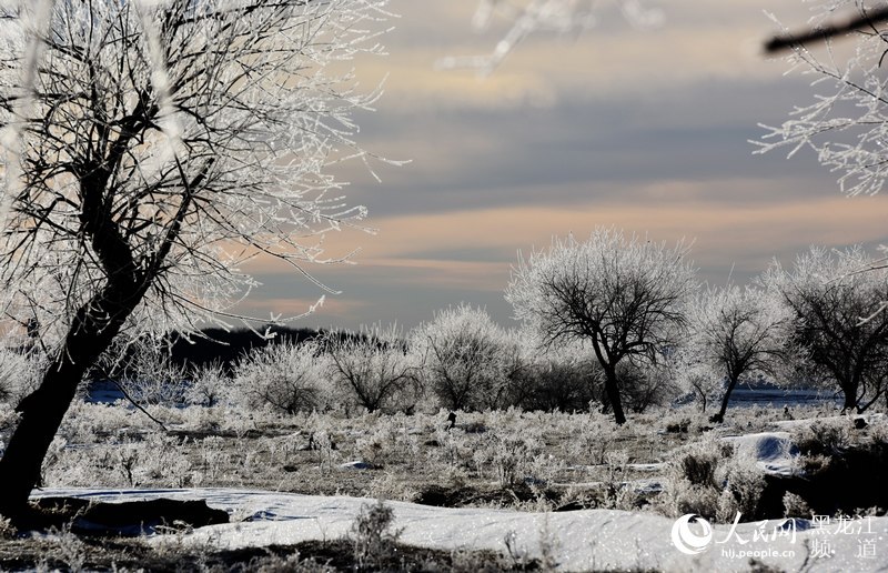 Rime scenery along the Heilongjiang River