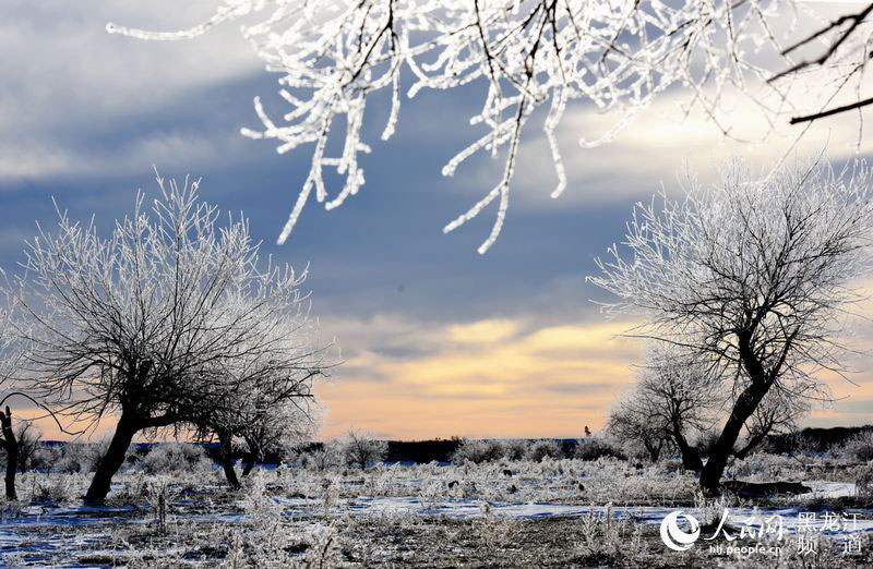 Rime scenery along the Heilongjiang River