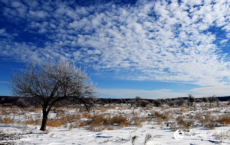 Rime scenery along the Heilongjiang River