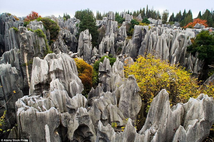 Breathtaking photos of China reveal its natural and diverse beauty