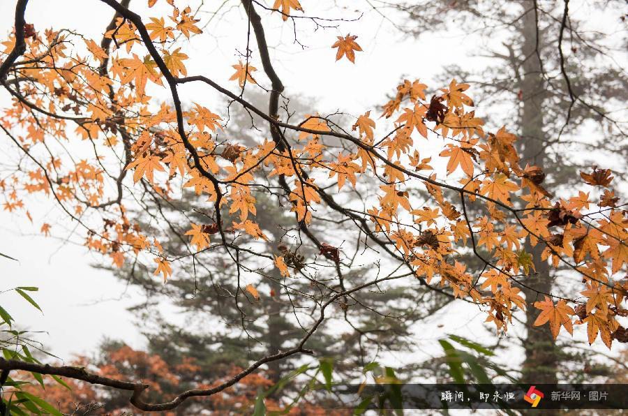 Autumn scenery around China