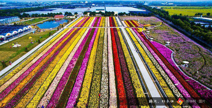 Autumn scenery around China