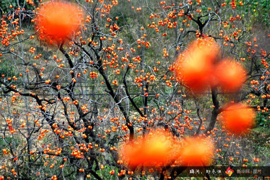 Autumn scenery around China