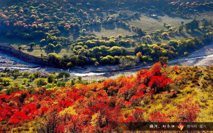 Autumn scenery around China