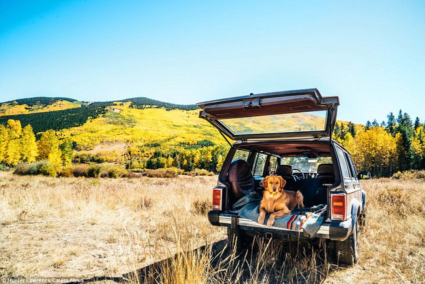 Meet the dog Aspen who puts your outdoor travel adventures to shame