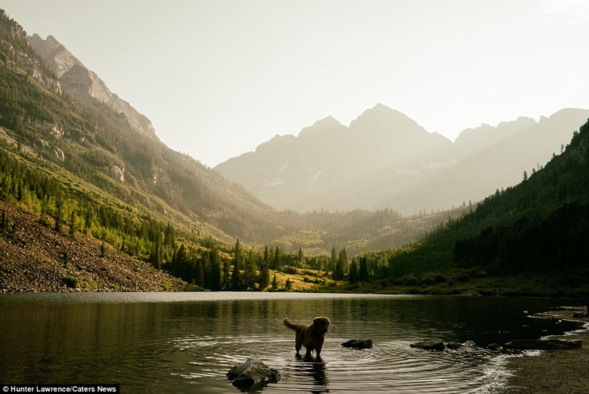 Meet the dog Aspen who puts your outdoor travel adventures to shame