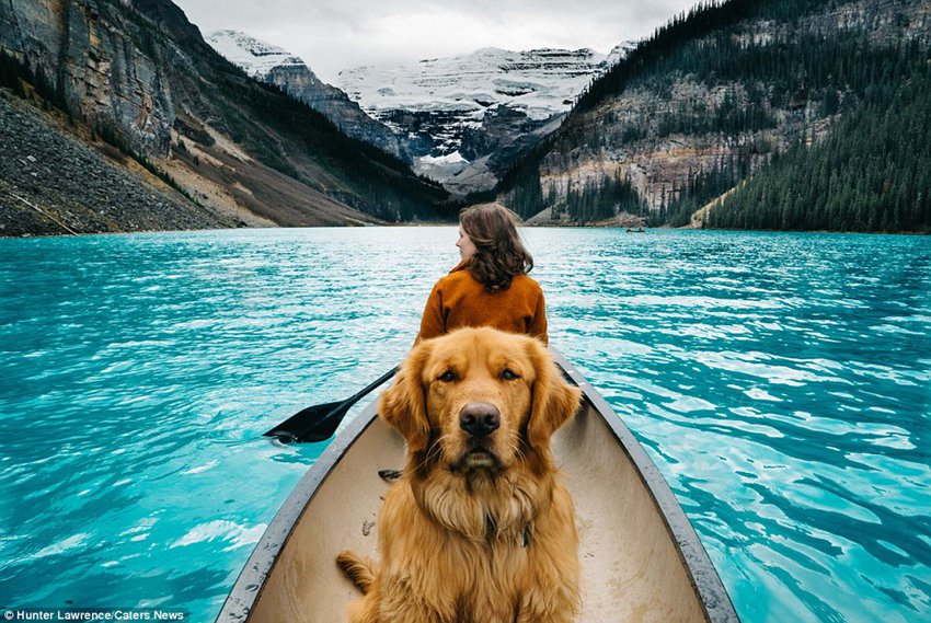 Meet the dog Aspen who puts your outdoor travel adventures to shame