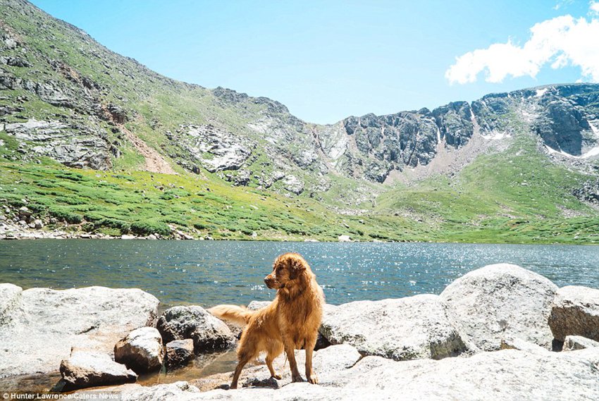 Meet the dog Aspen who puts your outdoor travel adventures to shame