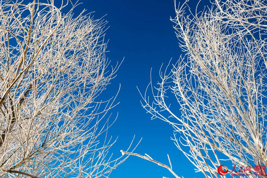 Breathtaking rime view in Heilongjiang