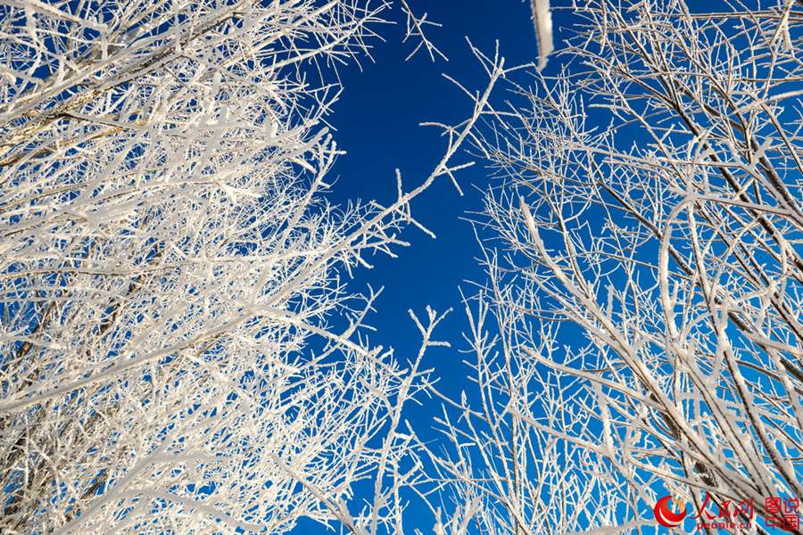 Breathtaking rime view in Heilongjiang