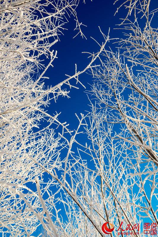 Breathtaking rime view in Heilongjiang