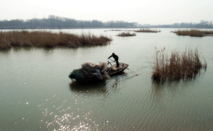 Beijing Wild Duck Lake: Heavenly wetland for birds