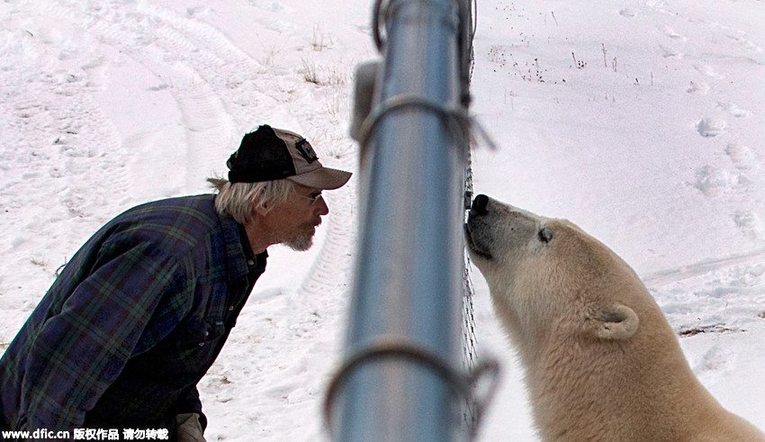 Hungry polar bear gets furious when he smells food he can’t reach