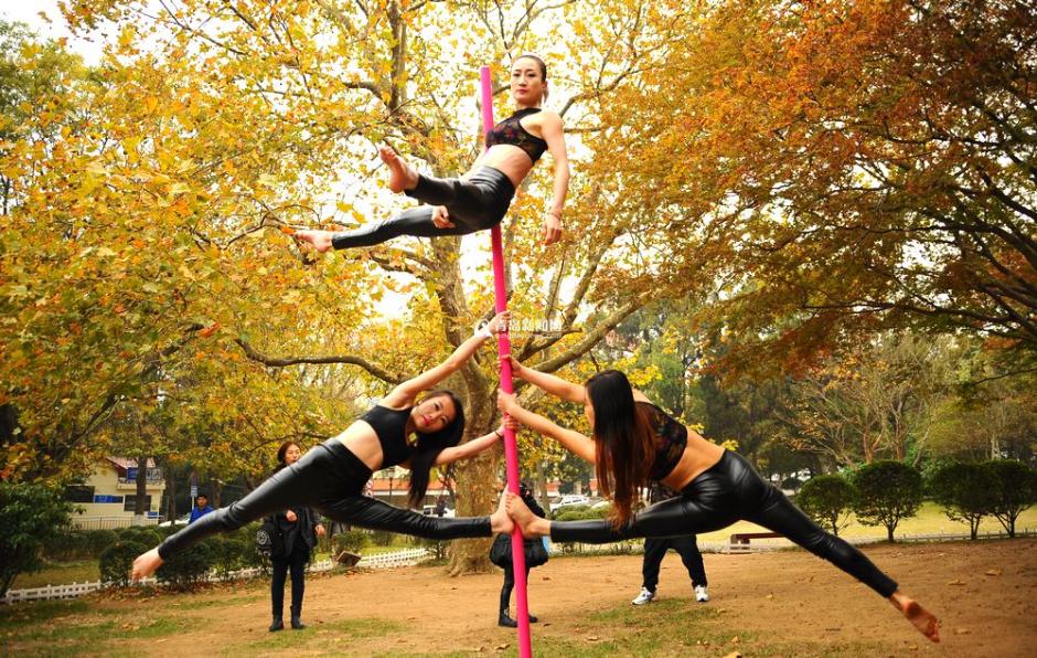 Pole dancing show in E China