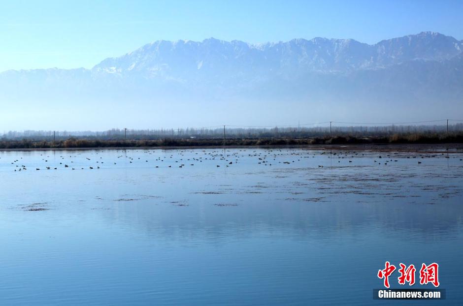 Early winter scenery of wetland in NW China