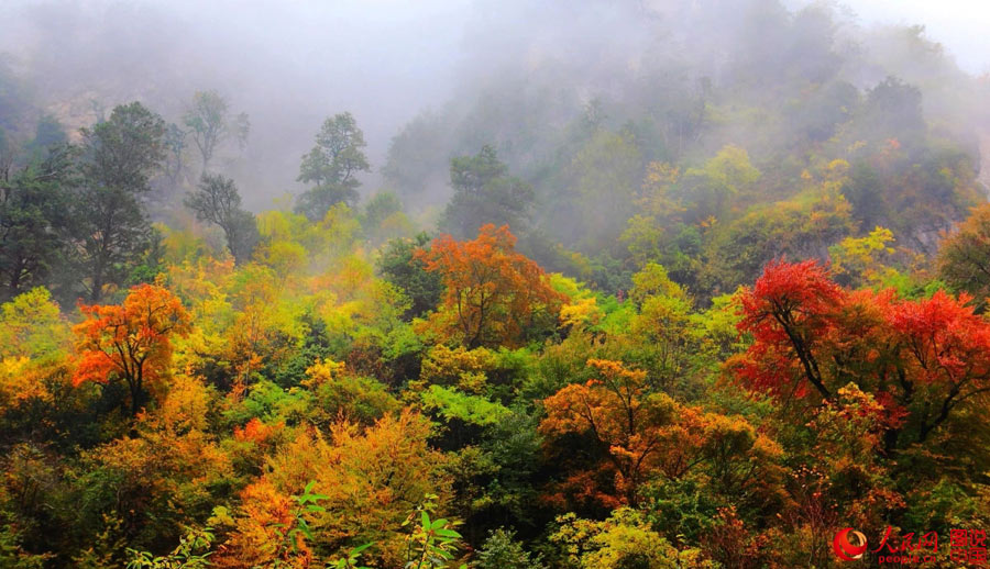 Colorful scenery of Aba Autonomous Prefecture