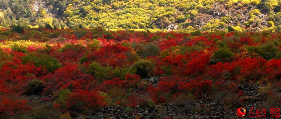 Colorful scenery of Aba Autonomous Prefecture