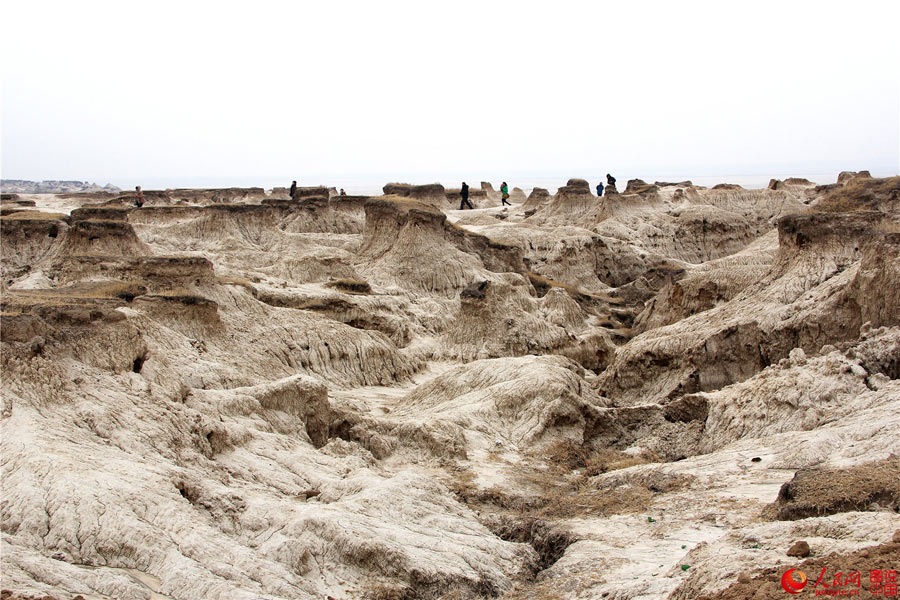 Primitive beauty of Qian’an mud forest