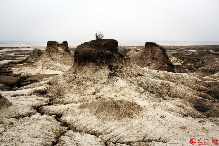 Primitive beauty of Qian’an mud forest