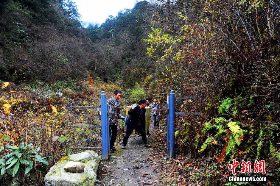 Panda Huajiao ready to go back to nature