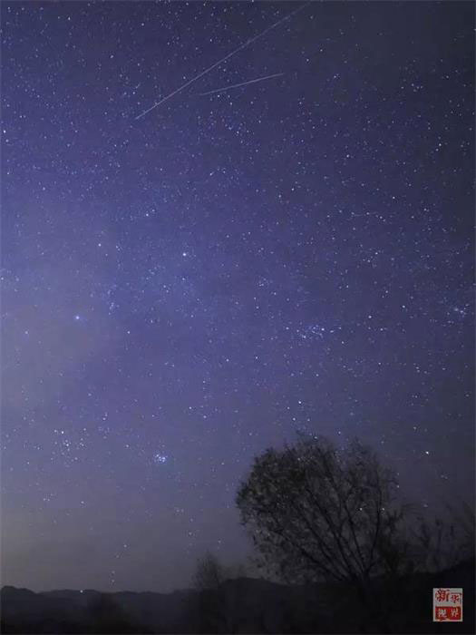 Beautiful Leonid meteor shower