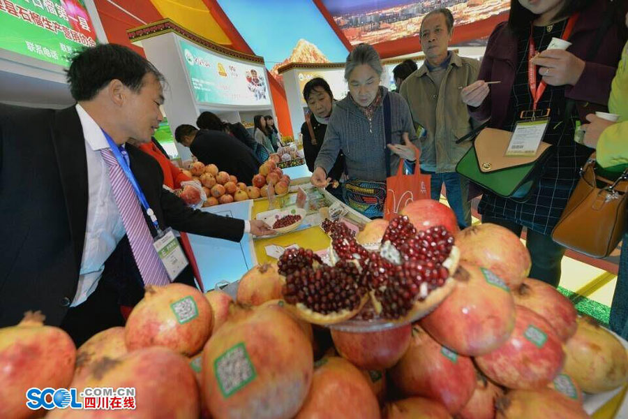 Agricultural Exposition brings you into a fresh world
