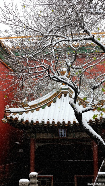 Snow scenery in the Forbidden City: a travel through thousand years