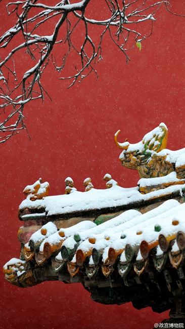 Snow scenery in the Forbidden City: a travel through thousand years