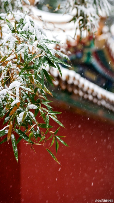 Snow scenery in the Forbidden City: a travel through thousand years